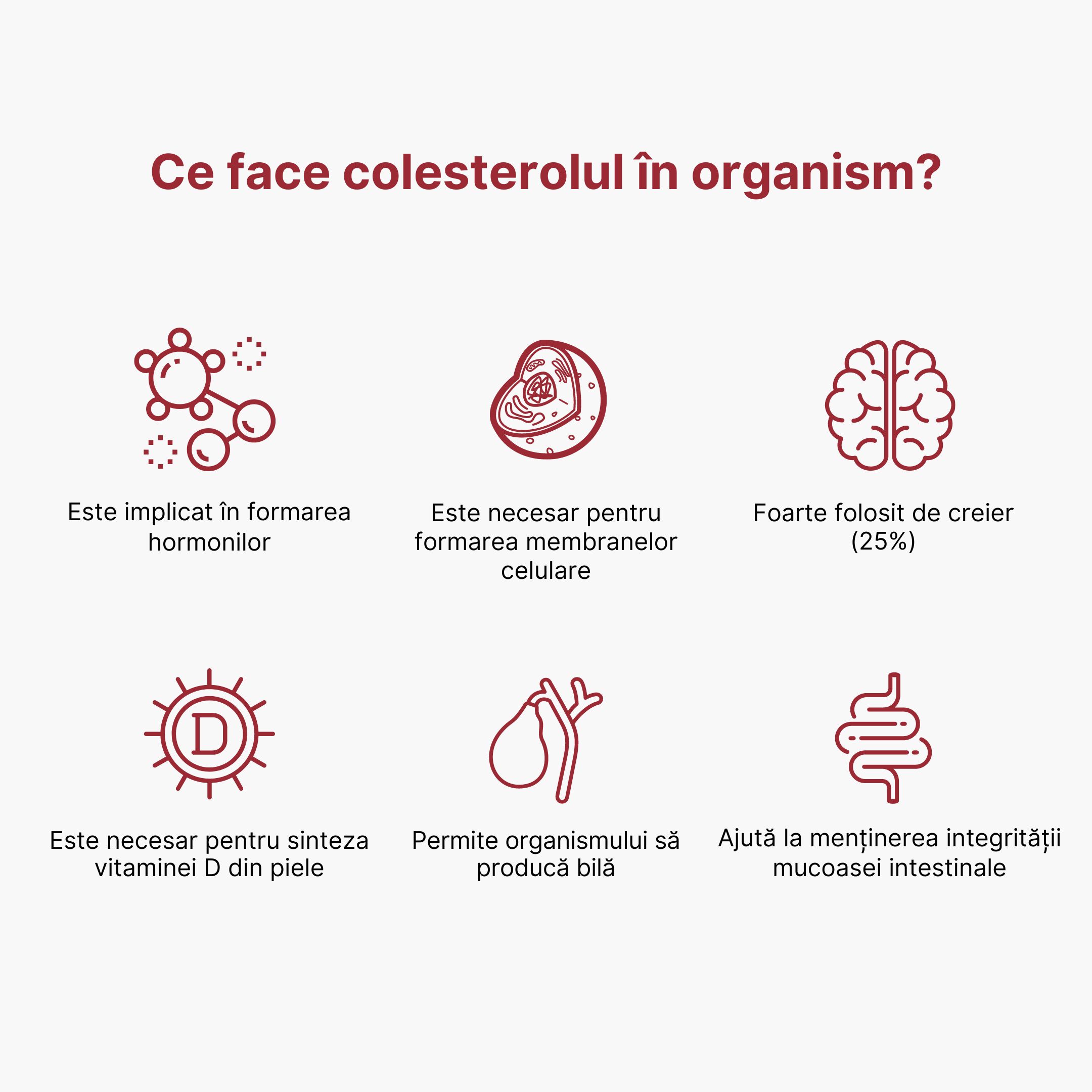 (Rumunština) Co má v těle na starost cholesterol